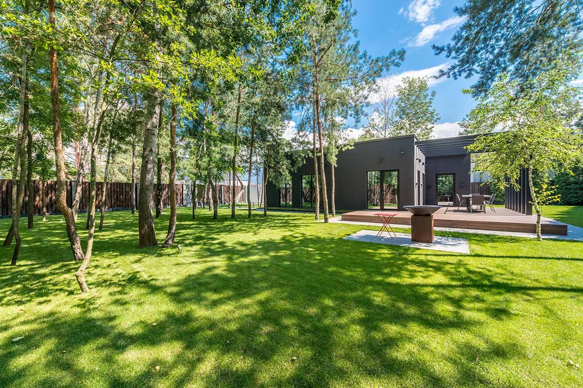 expansive-green-oasis-in-houston Green oasis in houston